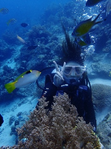 P7072131 (480x640)