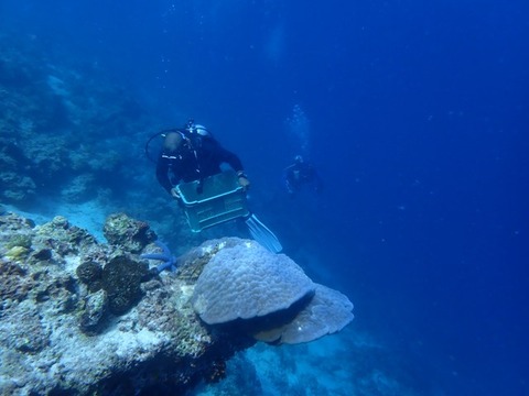 P6020005