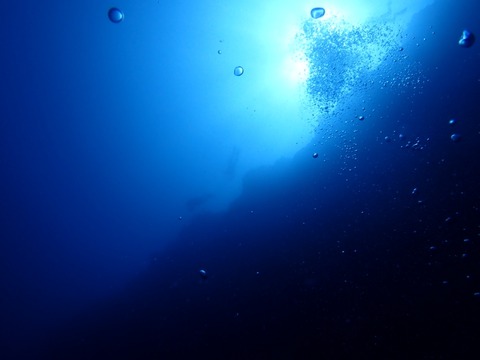 P5110001