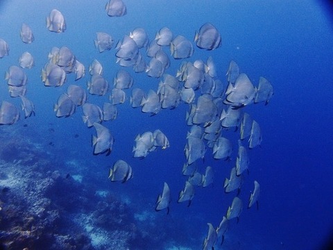 02e7493d (640x480)