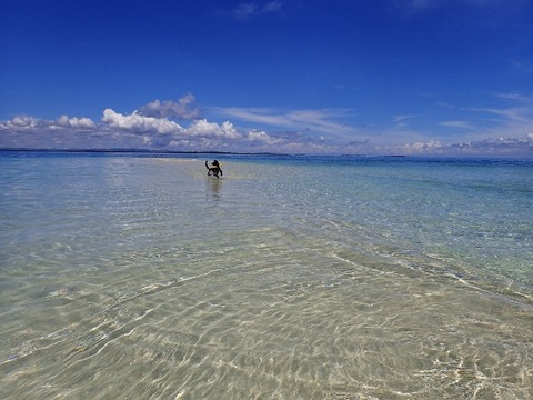 P5200026 (640x480)