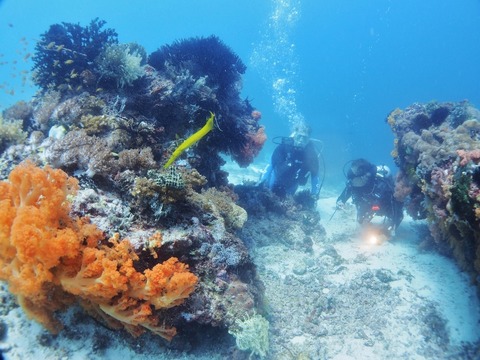 PA010043 (640x480)