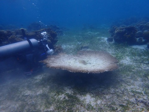P3070066