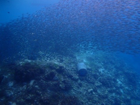 P4270061