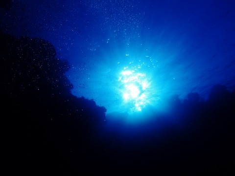 P5210493 (640x480)