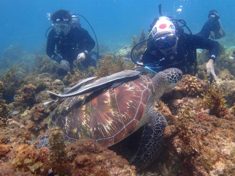 Messenger_creation_2AB937D5-3F8A-403E-9DAC-867B665B1389