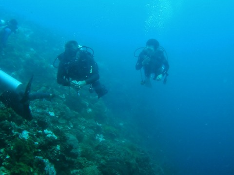 P1010030 (640x480)
