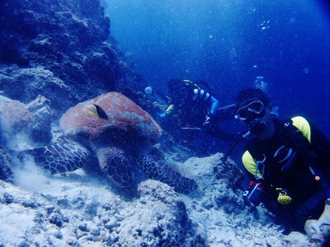 P1022108 (640x480)