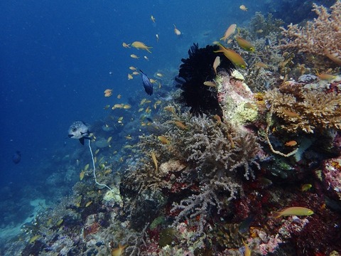 P2160056 (640x480)