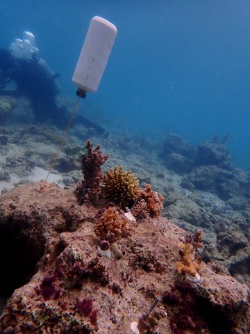 P4280096