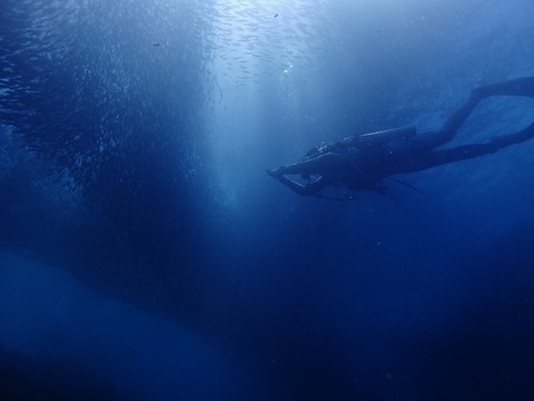 P2220138 (640x480)