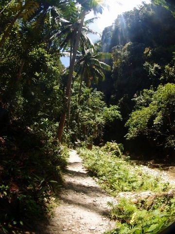P3200327 (480x640)