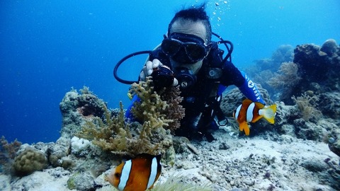 P4161036 (640x360)