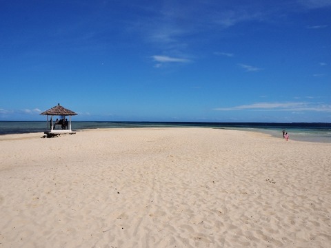 P1050020 (640x480)