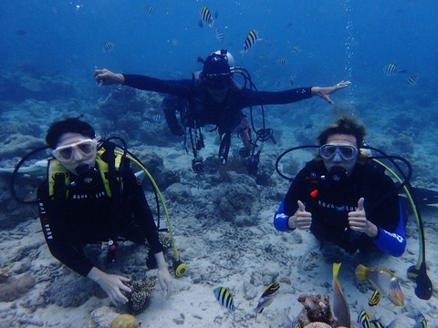 P4160389 (640x480)