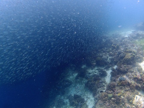 Messenger_creation_16633583-DABF-4CF8-8F51-F86D330DE939