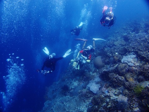 P2030461 (640x480)