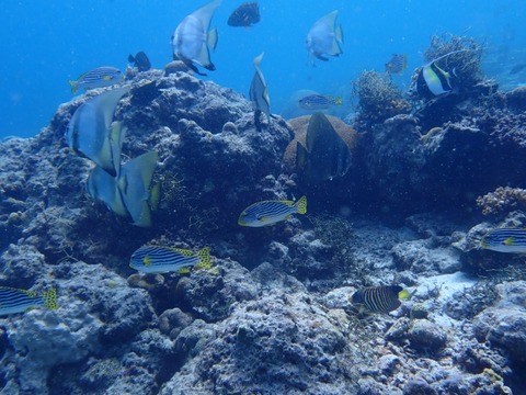 P6280025