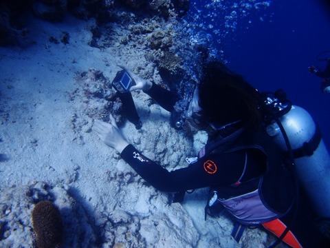 P3068692 (640x480)
