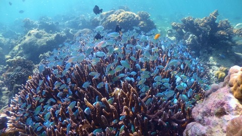 P1220119 (640x360)