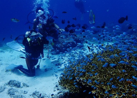 P7290123 (640x459)