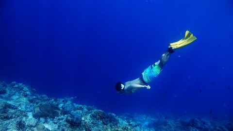 P3150321 (640x360)