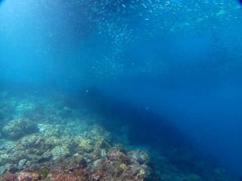 P8030047