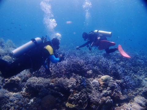 P1010556 (640x480)