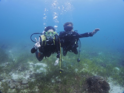 P1010021 (640x480)