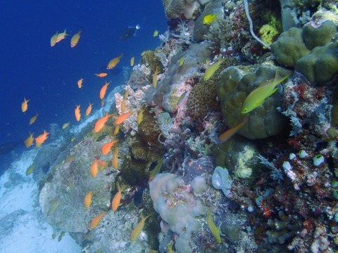 Messenger_creation_FC3B7EFA-9A1A-4344-BE2E-2311F685F6DD