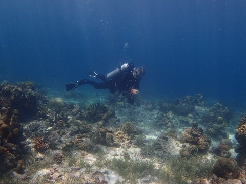 Messenger_creation_E83CDD1D-DD3C-4C25-994B-80E53D641824