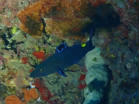 P8030043