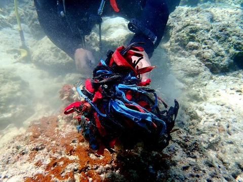 P1300172