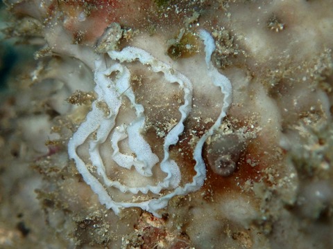 P1300224