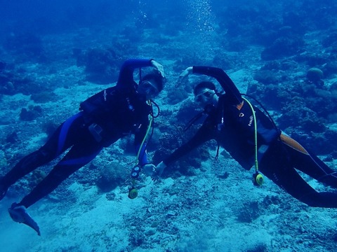 P7051892 (640x480)