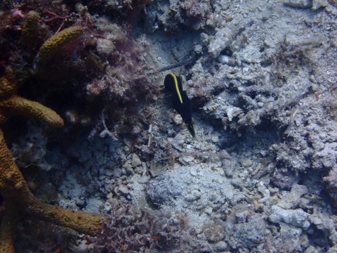 P5130105