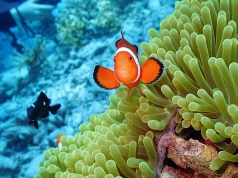 ee42749f (640x480)