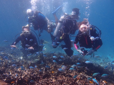 P2072022 (640x480)