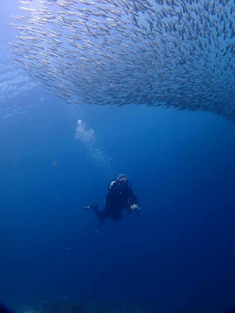 Messenger_creation_DB8181BD-43AE-45CA-A28F-6678D63EF7DB