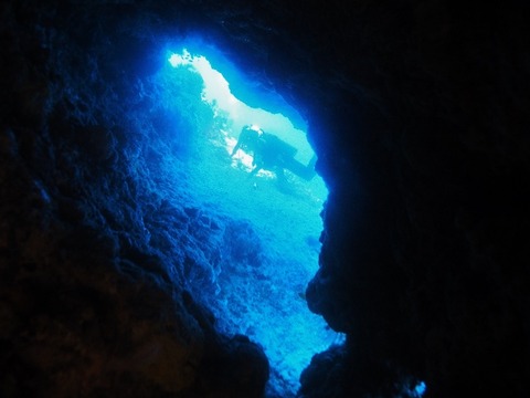 PA250070 (640x480)