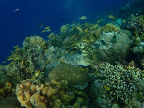 Messenger_creation_07CB5025-7AEC-4565-82DF-367AA3A4564D