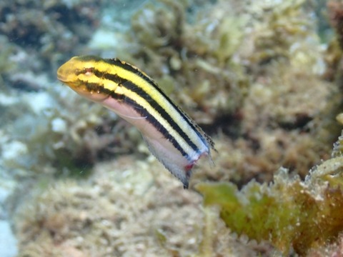 P8030010