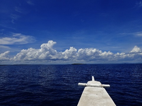 P5300003 (640x480)