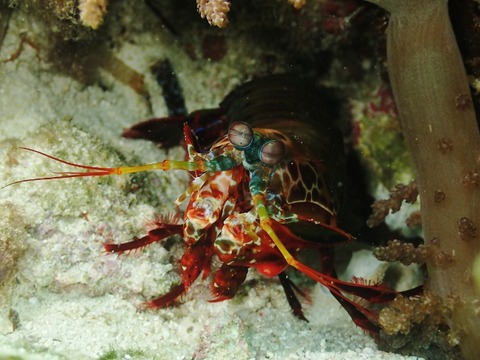 PB030106 (640x480)