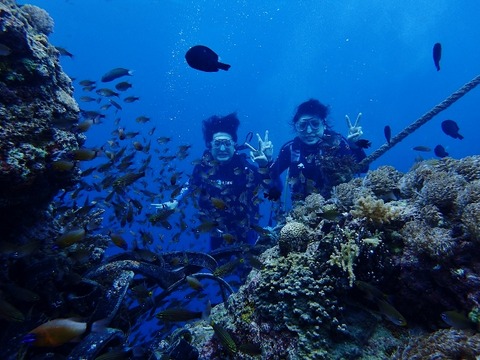 P7220122 (640x480)