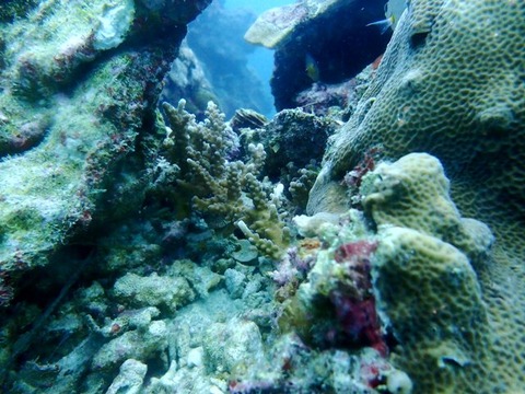 P3090019