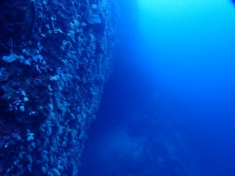 P7040003