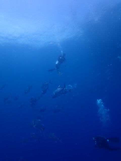 P6130042