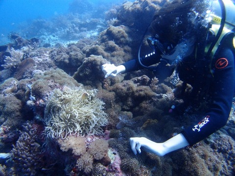 P2070724 (640x480)