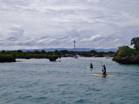P9120965 (640x480)